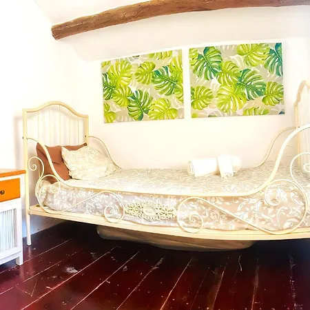 Medinilla With Private Pool In Conil فيلة Masdache