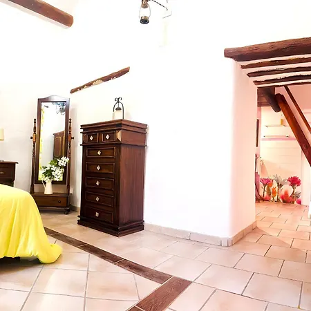 Medinilla With Private Pool In Conil